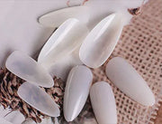 Shills Professional Almond Nail Tips – 500pcs Natural Full Cover Tips (10 Sizes: 0–9) | For Acrylic, Gel & Press-On Nails